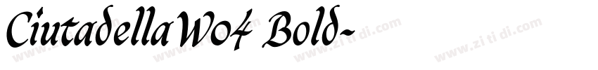 CiutadellaW04 Bold字体转换